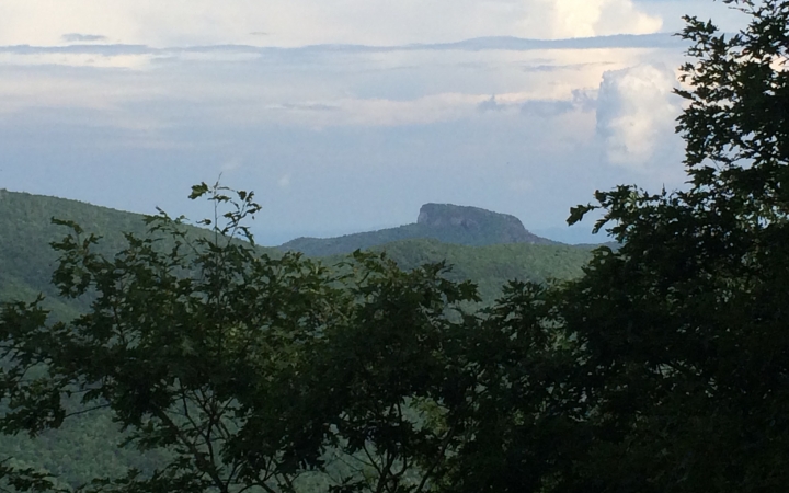 Beyond green tree leaves lies a mountainous rock formation.